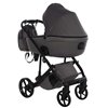 Детская коляска 2 в 1 Junama Termo V3 Graphite 05