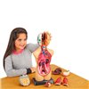 Анатомическая модель человека Edu-Toys сборная 27 см (MK027)