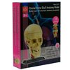 Модель черепа с нервами Edu-Toys сборная 9 см (SK010)