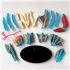 Модель руки Edu-Toys сборная 16,5 см (SK058)