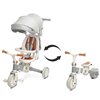 Велосипед трехколесный Toyz (Caretero) Faro Grey