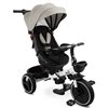 Велосипед трехколесный Toyz (Caretero) Dash Grey