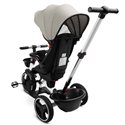 Велосипед трехколесный Toyz (Caretero) Dash Grey