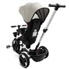 Велосипед трехколесный Toyz (Caretero) Dash Grey