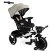 Велосипед трехколесный Toyz (Caretero) Dash Grey