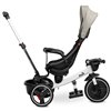 Велосипед трехколесный Toyz (Caretero) Dash Grey