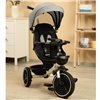 Велосипед трехколесный Toyz (Caretero) Dash Grey