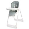 Стільчик для годування Caretero Megalo Mint