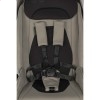 Детская коляска 2 в 1 EasyGo Giro beige