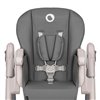 Стульчик для кормления Lionelo Zanna Grey Stone