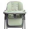 Стульчик для кормления Caretero Vars Mint