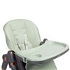 Стульчик для кормления Caretero Vars Mint
