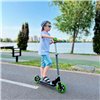 Двухколесный скутер Nixor Sports Professional 145, Черный с зеленым