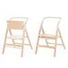 Стульчик для кормления Carrello Ergo CRL-16701 Obsidian Black