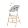 Стільчик для годування Carrello Ergo CRL-16701 Pine Green