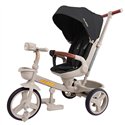 Велосипед трехколесный Tilly Flash T-3812 Dark Grey