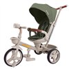Велосипед трехколесный Tilly Flash T-3812 Green