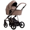 Дитяча коляска 2 в 1 Bebetto Pelpasso Pro 01 Kashmir
