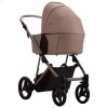 Дитяча коляска 2 в 1 Bebetto Pelpasso Pro 01 Kashmir