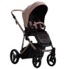 Детская коляска 2 в 1 Bebetto Pelpasso Pro 01 Kashmir