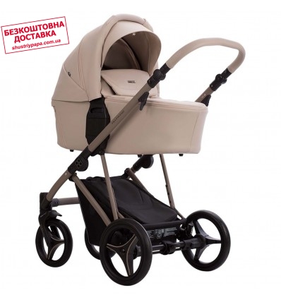 Дитяча коляска 2 в 1 Bebetto Pelpasso Pro 02 Kashmir