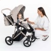 Детская коляска 2 в 1 Bebetto Pelpasso Pro 03 Kashmir