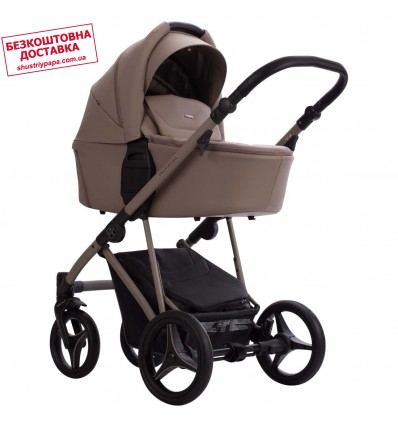 Дитяча коляска 2 в 1 Bebetto Pelpasso Pro 04 Kashmir