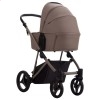 Детская коляска 2 в 1 Bebetto Pelpasso Pro 04 Kashmir