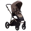 Детская коляска 2 в 1 Bebetto Pelpasso Pro 04 Kashmir