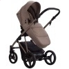 Детская коляска 2 в 1 Bebetto Pelpasso Pro 04 Kashmir