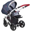 Детская коляска 2 в 1 Coletto Modena 03