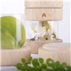 Набор Guidecraft Natural Play Сокровища в баночках, прозрачный (G3086)