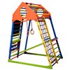 Детский спортивный комплекс для дома SportBaby KindWood Color Plus