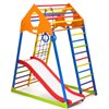 Детский спортивный комплекс для дома SportBaby KindWood Color Plus 1