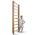 Шведская стенка SportBaby Baby 0-220
