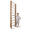 Шведская стенка SportBaby Baby 0-220