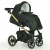 Детская коляска 2 в 1 Verdi Verso Gold G01 Black