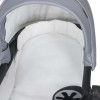 Детская коляска 2 в 1 Verdi Verso Gold G01 Black