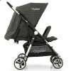 Прогулянкова коляска для двійні Babystyle Oyster Twin Pepper