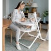 Стільчик для годування Carrello Triumph CRL-10302 графітовий