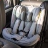 Автокресло детское Coletto Logos IsoFix черное, 0-36 кг