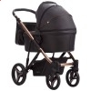 Дитяча коляска 2 в 1 Bebetto Pascal Premium Stella 04 рожева