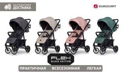 Детская прогулочная коляска Euro-Cart Flex
